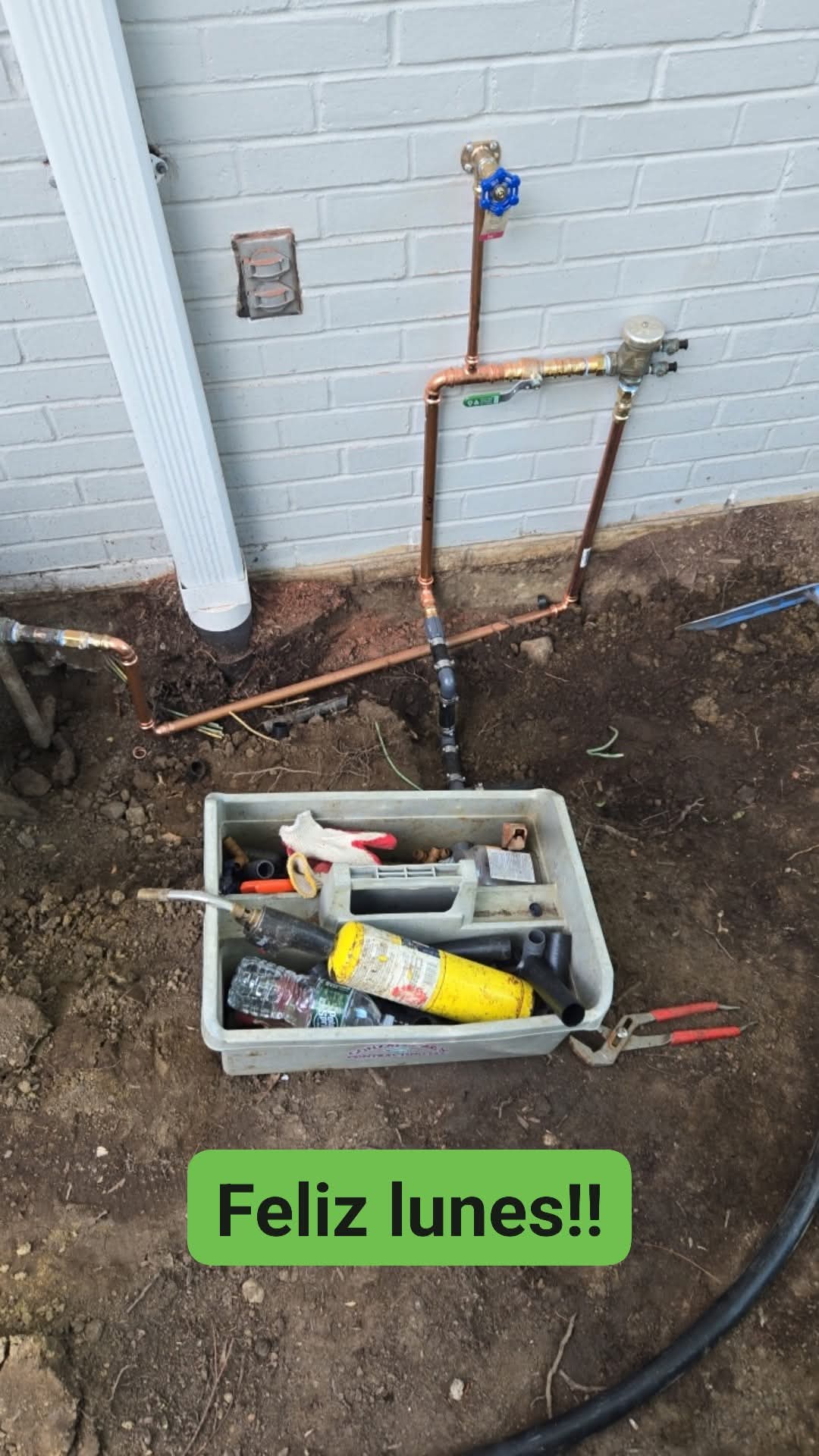 WhatsApp Image 2026-01-16 at 4.21.22 PM (1)